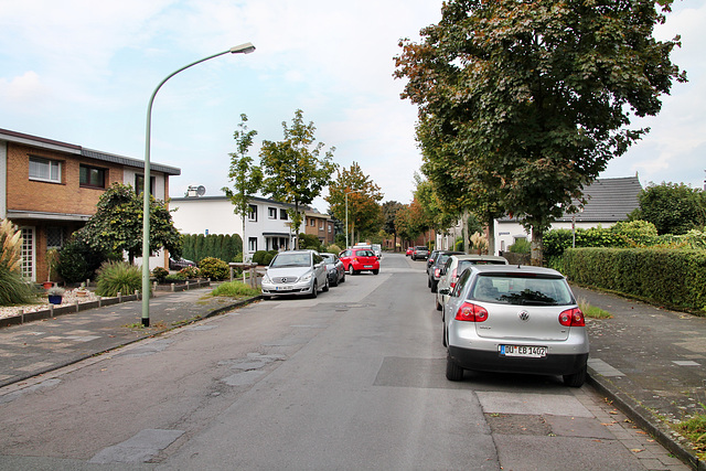 Kahlacker (Duisburg-Bergheim) / 22.09.2017