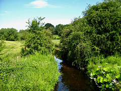 Smestow Brook near Trysull