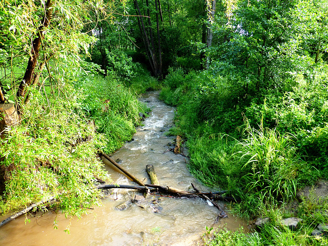 DE - Wachtberg - Mehlemer Bach