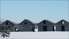 Near Grande Prairie, Alberta