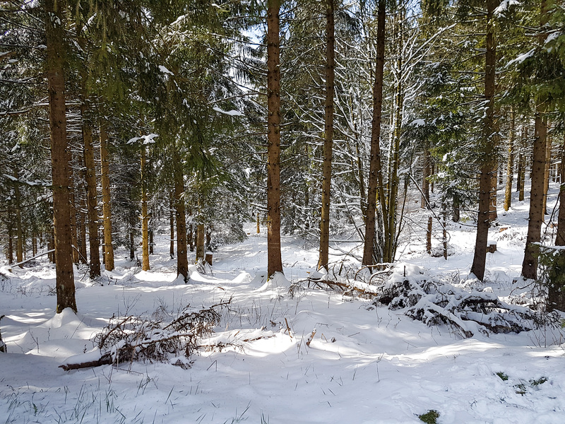 Am Weißen Stein - Hellenthal in der Eifel