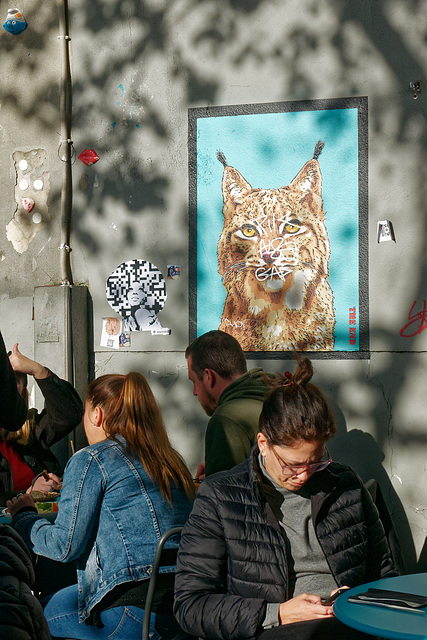 Le lynx n'a pas de smartphone, c'est pour ça qu'il a une bonne vue