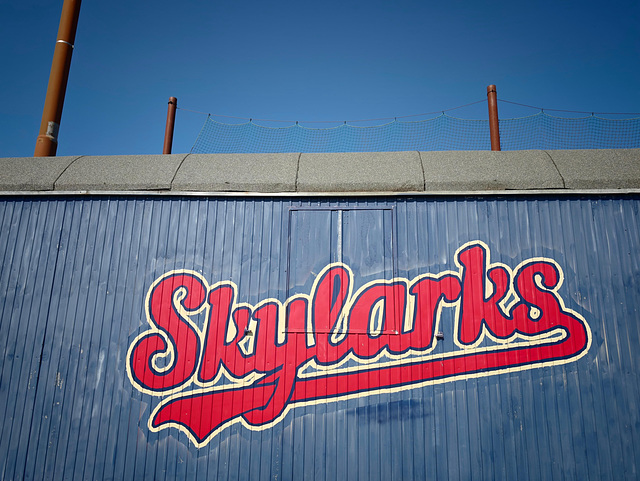 Skylarks: If it's a test pattern, it's doing it with style.