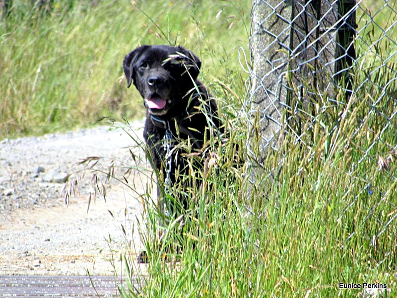 Guarding the Gate.