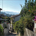 Granada El Albaicin