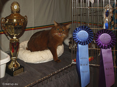 Caithlin's first Best In Show