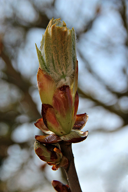 Frühling 2016