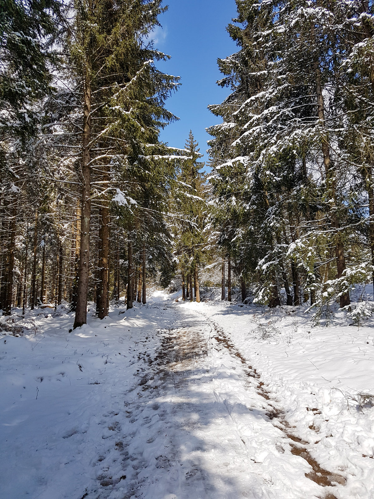 Am Weißen Stein - Hellenthal in der Eifel