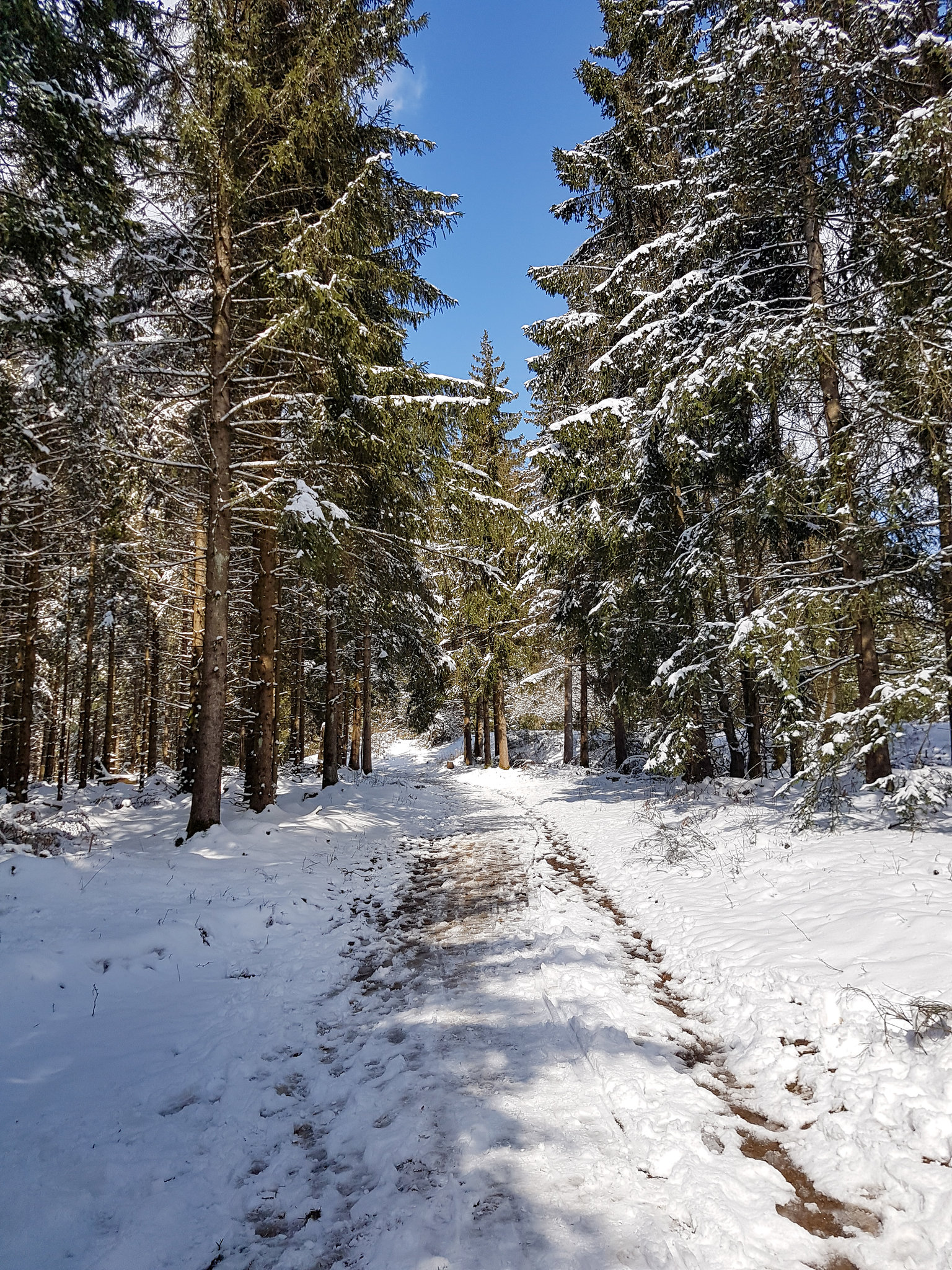 Am Weißen Stein - Hellenthal in der Eifel