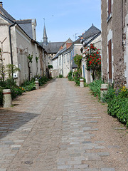Ruelle à l’île de Behuard (49)