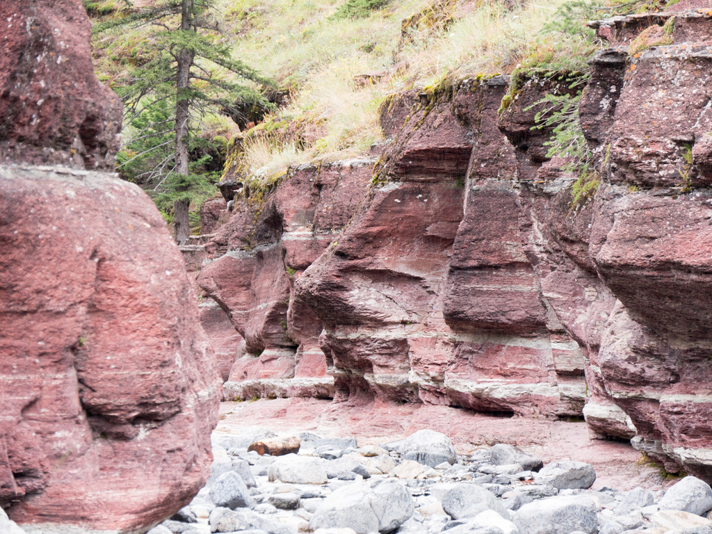 Waterton NP