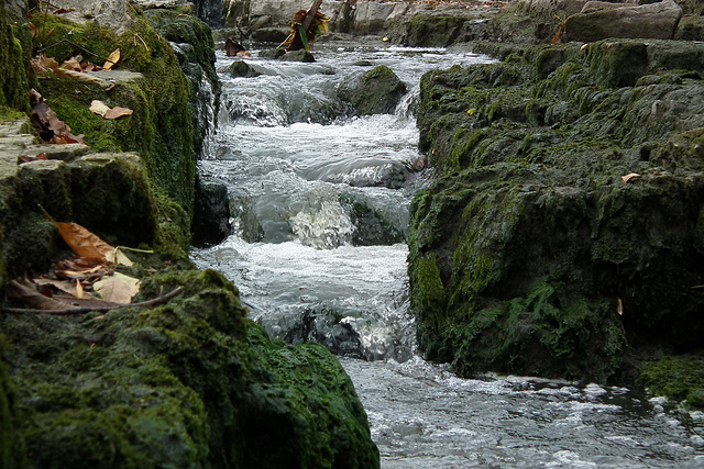 le temps passe comme l'eau qui coule...