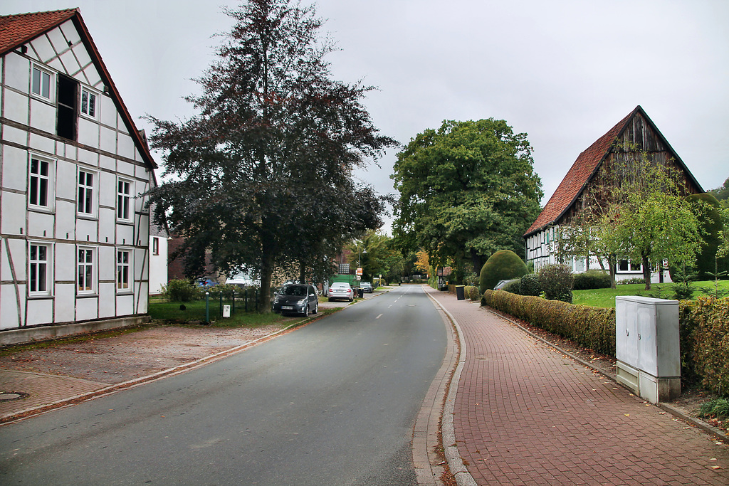 Kamener Straße (Bönen-Flierich) / 9.10.2023