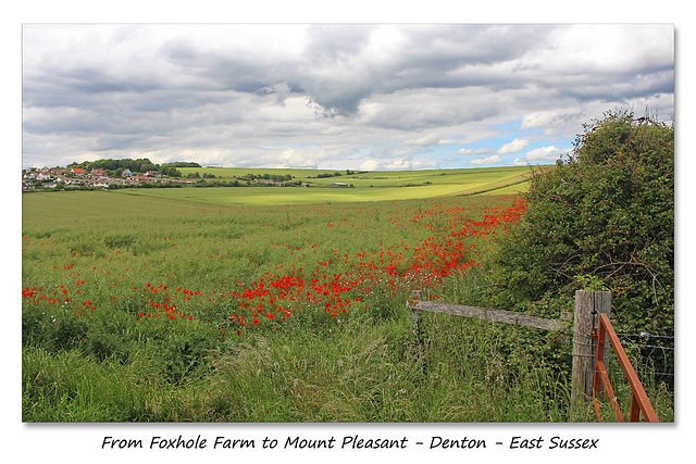 The view from Foxhole Farm to Mount Pleasant - Denton - Sussex - 15.6.2015
