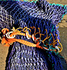 Fishing Net