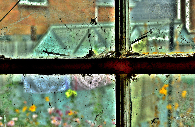 Garage Windows