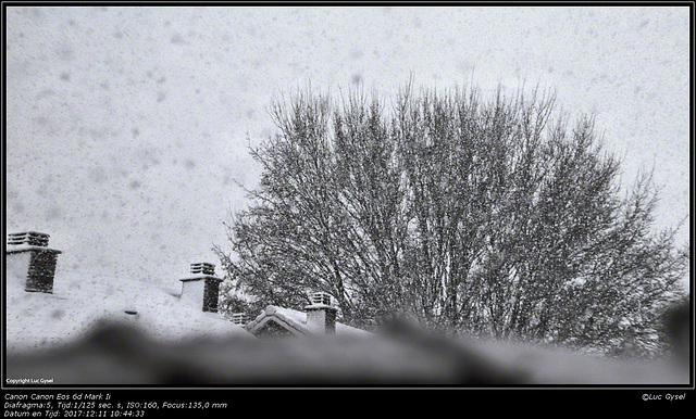 IMG 0308.jpg Het sneeuwt in Zemst