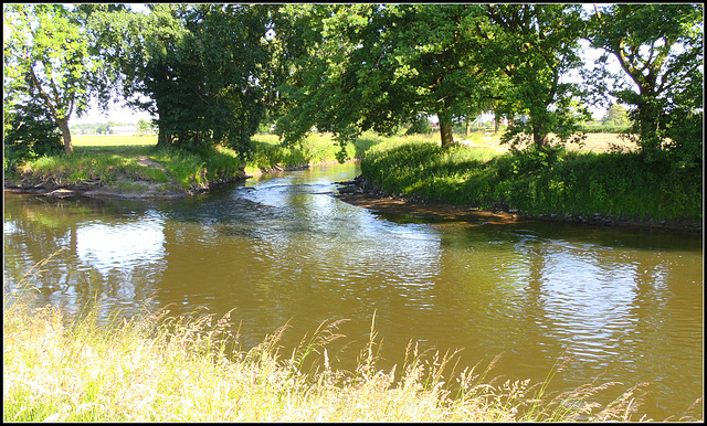 River mouth