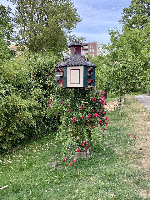 High-rise building for pigeons