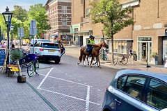 Mounted police on patrol