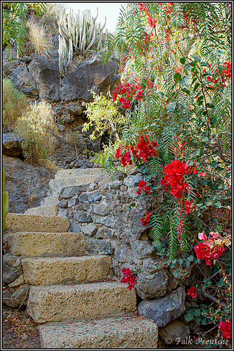 Treppe in der Finca Constanza