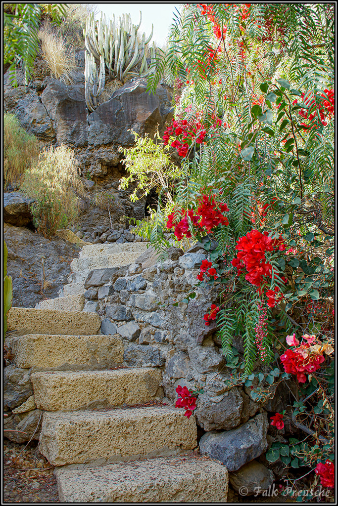 Treppe in der Finca Constanza