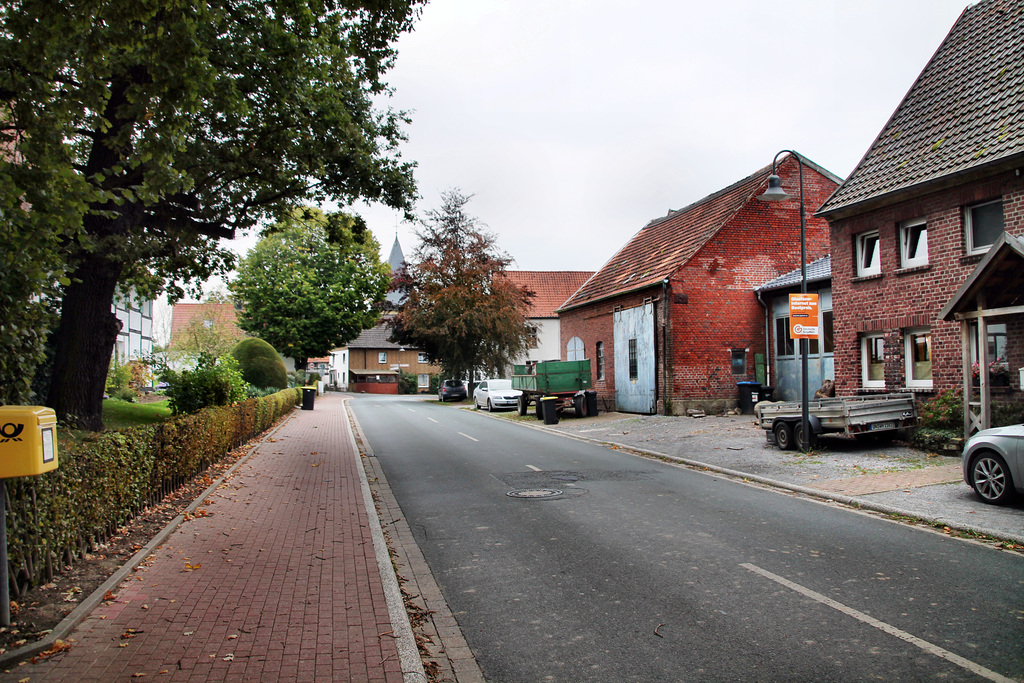 Kamener Straße (Bönen-Flierich) / 9.10.2023