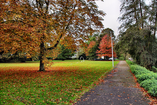 Kleiner Park am Kettwiger Stausee (Essen-Kettwig) / 1.11.2023