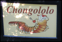 Chongololo