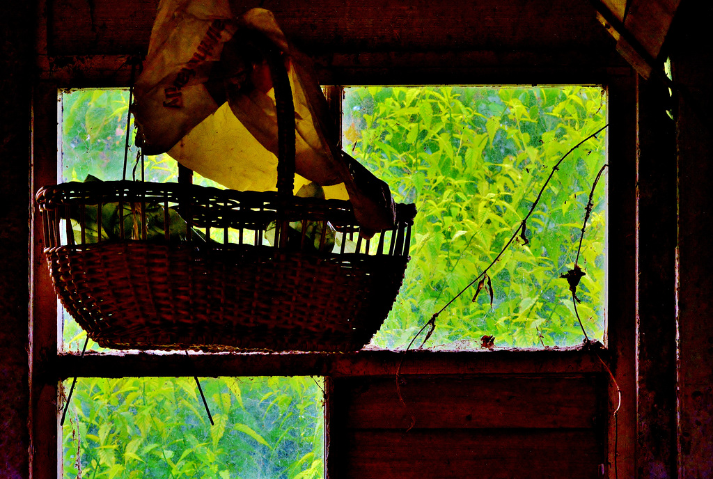 Garage Windows