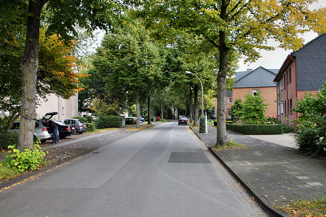 Breslauer Straße (Duisburg-Bergheim) / 22.09.2017