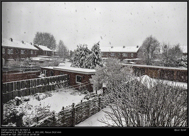 IMG 0314.jpg Het sneeuwt in Zemst