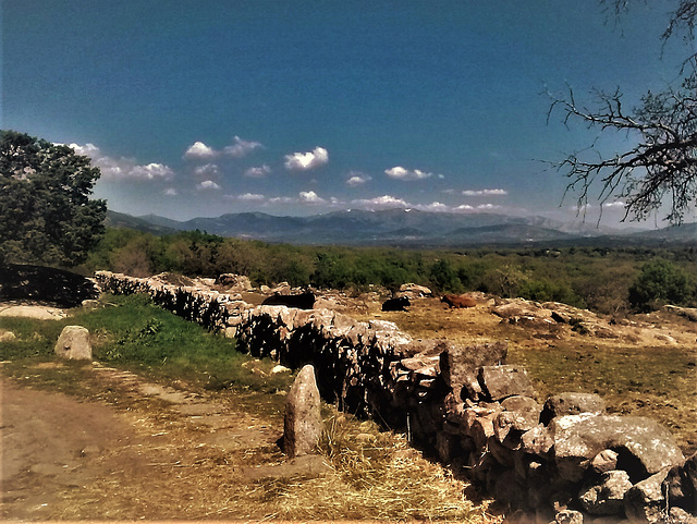 Farmland by the Roman road