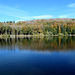 Le miroir du lac de Gayme en Auvergne