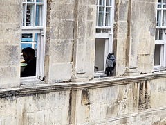 37  BATH - pulteney bridge