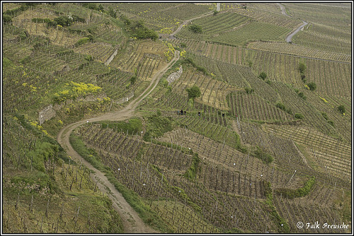 Grand Cru Schlossberg