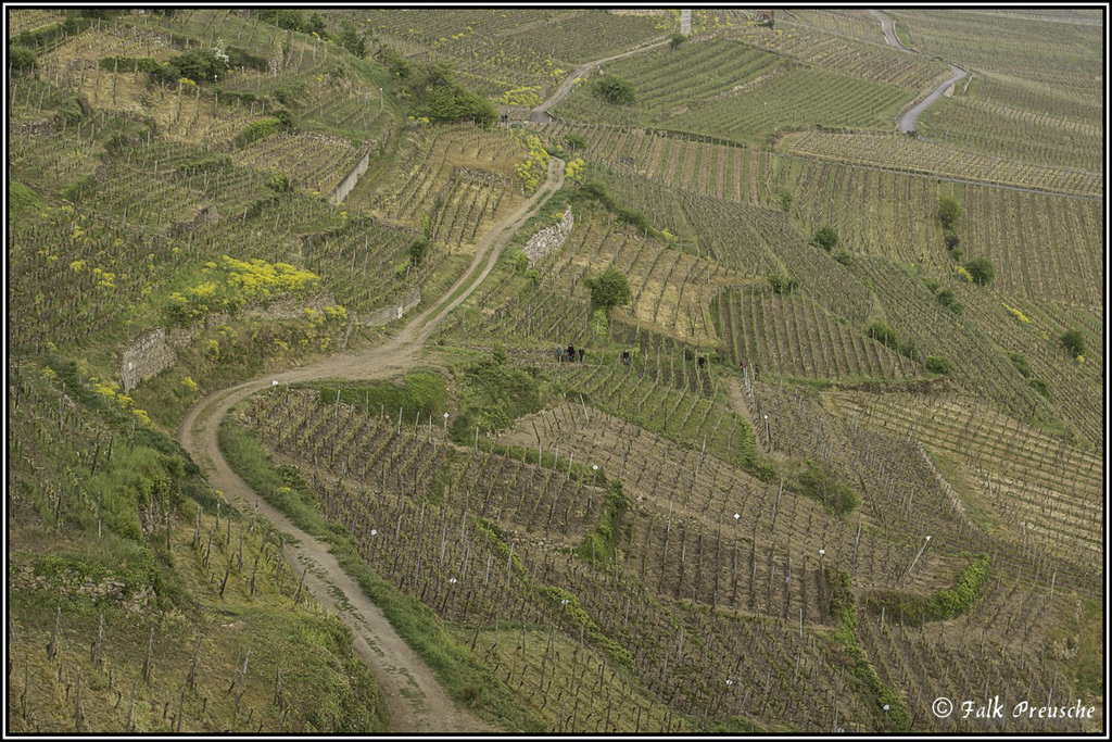 Grand Cru Schlossberg