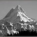 85115327 - das Schreckhorn 4078 m / 13380 ft