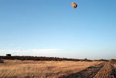 Flying stone L1010163