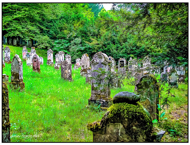 Sulzburg Jüd.Friedhof