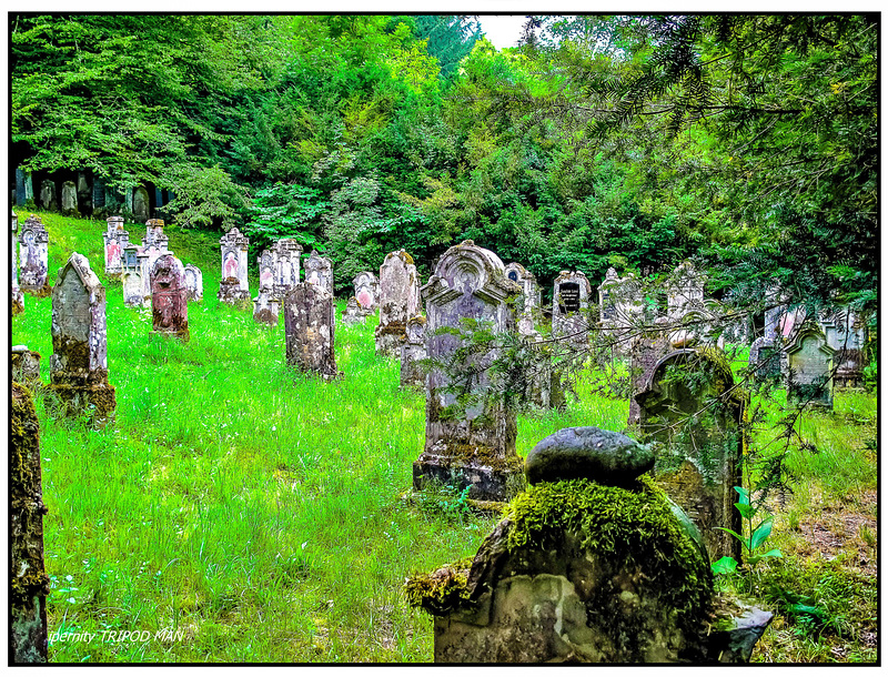 Sulzburg Jüd.Friedhof