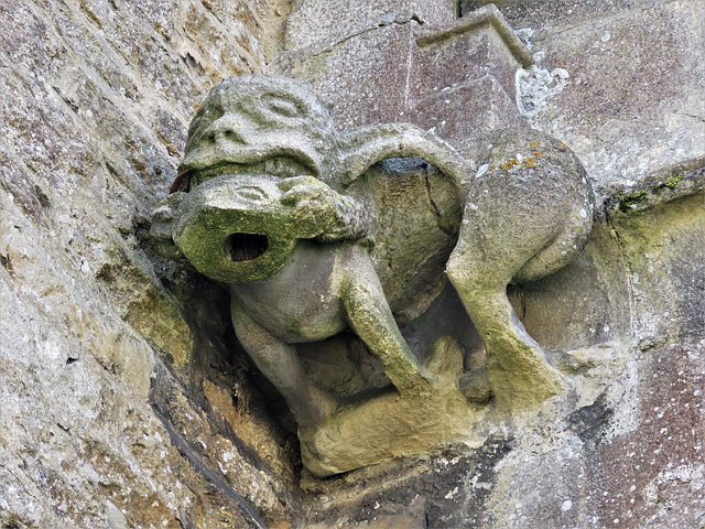 lacock church, wilts (2) c15 gargoyle on north aisle