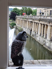 38  BATH - pulteney bridge from inside