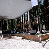 Music in the Park