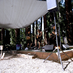 Music in the Park