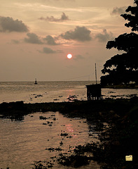 Vypin sunset A