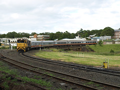 201501WestlanderToowoomba 764