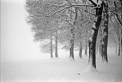 Winternebel 2