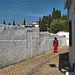 Granada El Albaicin