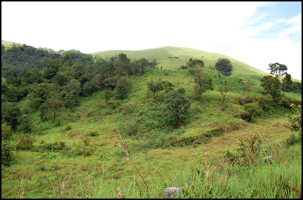 Western Ghats